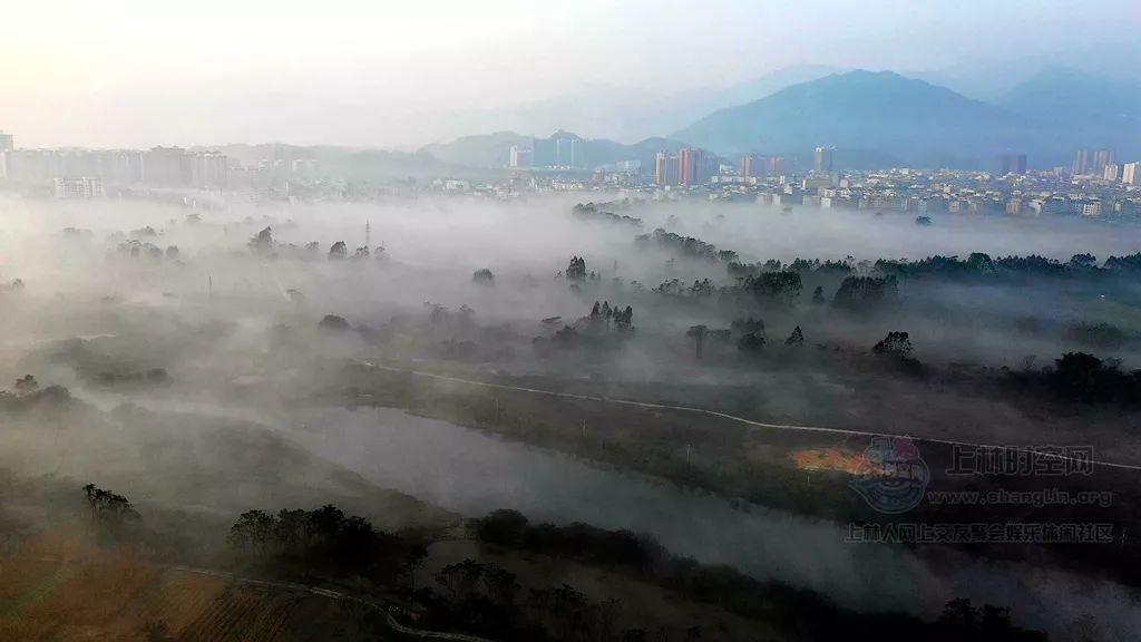 海绵宝宝寻珍宝