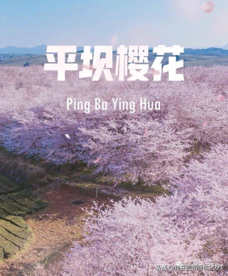 动物帮帮忙保卫家园