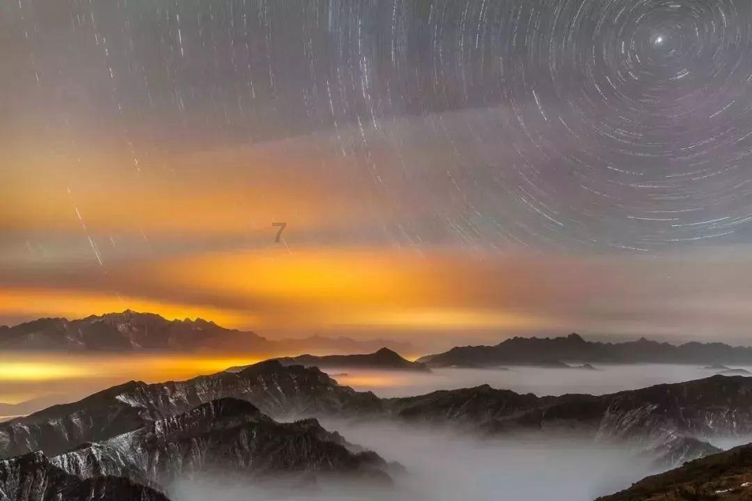 救援小袋熊