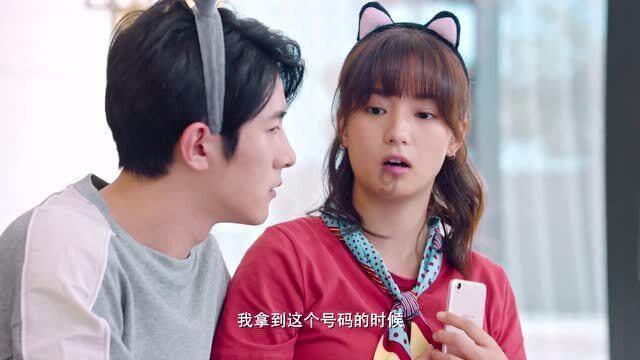 破碎的动物图形