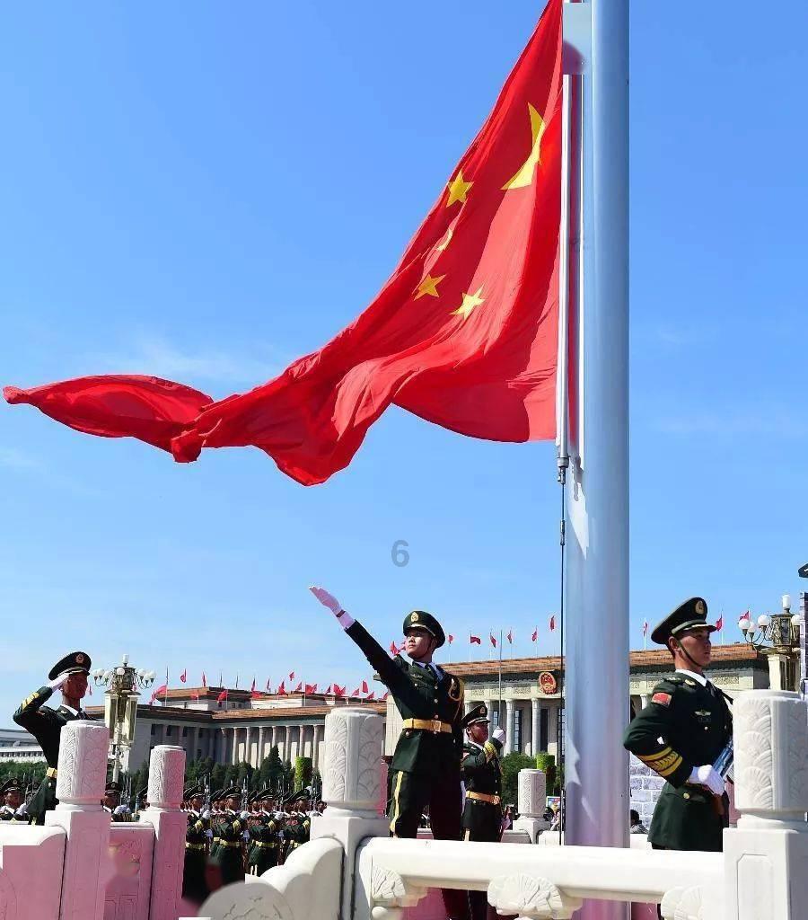 拯救可爱袋鼠